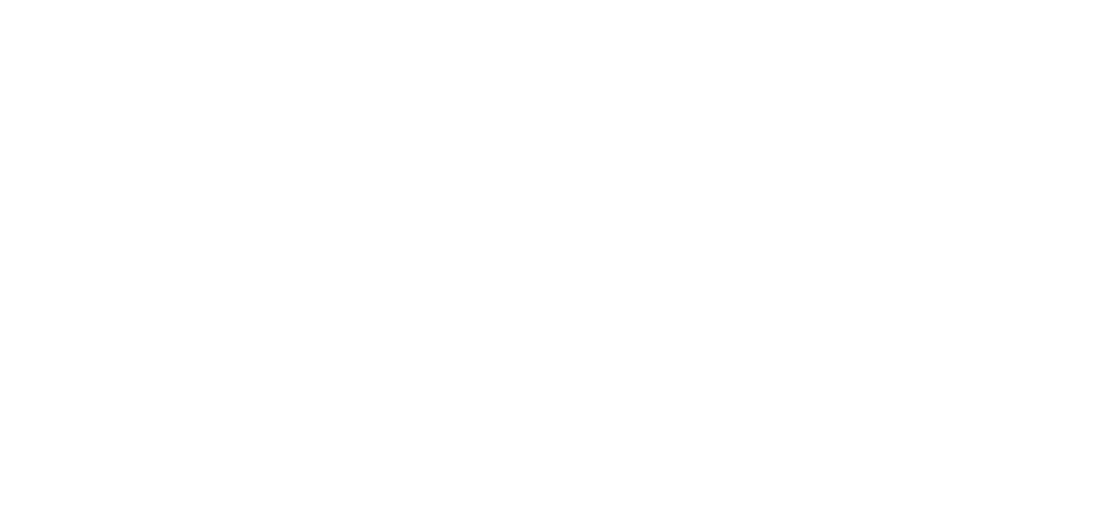 anahaw pos logo home