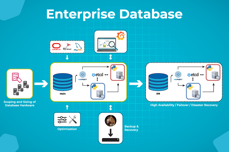 Enterprise Database