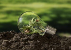 Renewable Energy ESG